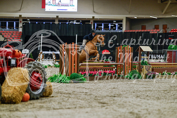 2025 - Haylee - Royal West - Tuesday October 21st - 03864