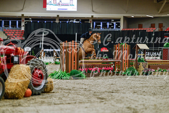 2025 - Haylee - Royal West - Tuesday October 21st - 03863