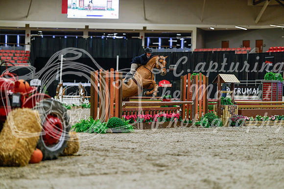 2025 - Haylee - Royal West - Tuesday October 21st - 03865