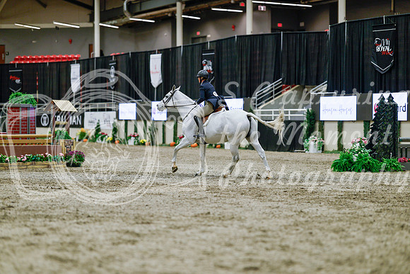 2025 - Haylee - Royal West - Tuesday October 21st - 05284