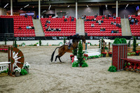 2025 - Haylee - Royal West - Tuesday October 21st - 08615