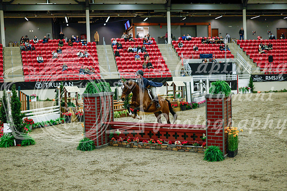 2025 - Haylee - Royal West - Tuesday October 21st - 08501