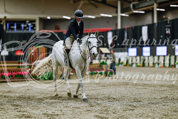 2025 - Haylee - Royal West - Tuesday October 21st - 05348