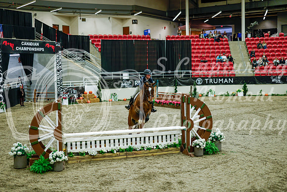 2025 - Haylee - Royal West - Tuesday October 21st - 08514