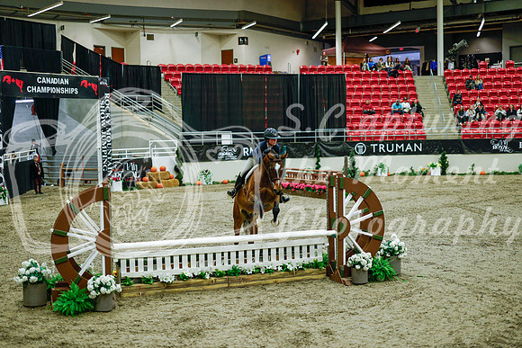 2025 - Haylee - Royal West - Tuesday October 21st - 08517
