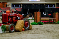 2025 - Haylee - Royal West - Tuesday October 21st - 03712