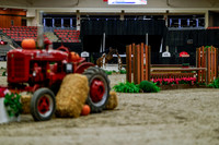 2025 - Haylee - Royal West - Tuesday October 21st - 03713