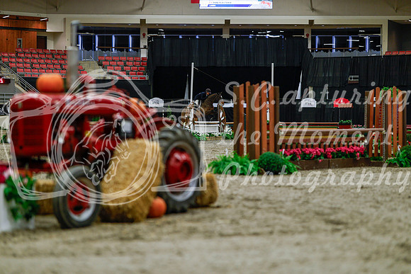 2025 - Haylee - Royal West - Tuesday October 21st - 03715