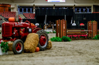 2025 - Haylee - Royal West - Tuesday October 21st - 03716
