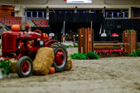2025 - Haylee - Royal West - Tuesday October 21st - 03717