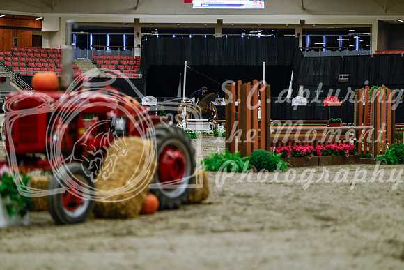 2025 - Haylee - Royal West - Tuesday October 21st - 03717
