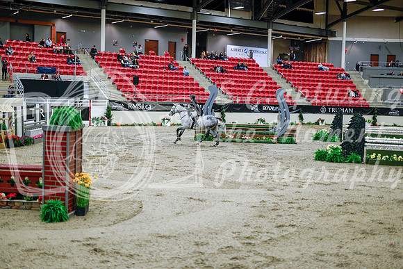 2025 - Haylee - Royal West - Tuesday October 21st - 09150