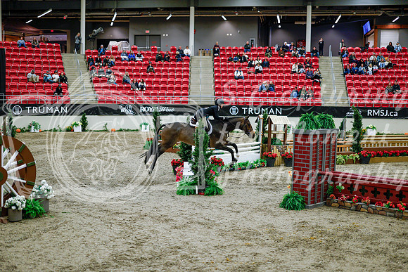 2025 - Haylee - Royal West - Tuesday October 21st - 08895