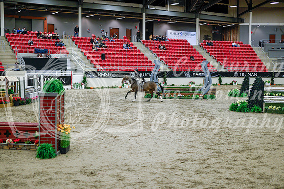 2025 - Haylee - Royal West - Tuesday October 21st - 08900