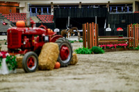 2025 - Haylee - Royal West - Tuesday October 21st - 04977