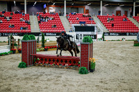 2025 - Haylee - Royal West - Tuesday October 21st - 08644