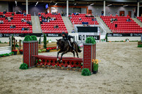2025 - Haylee - Royal West - Tuesday October 21st - 08646