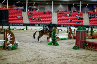 2025 - Haylee - Royal West - Tuesday October 21st - 08650