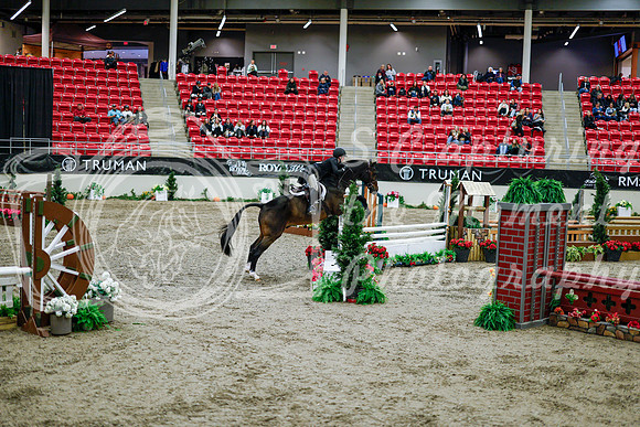2025 - Haylee - Royal West - Tuesday October 21st - 08651