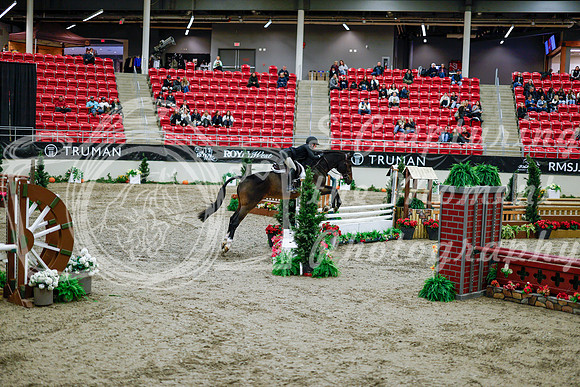 2025 - Haylee - Royal West - Tuesday October 21st - 08654
