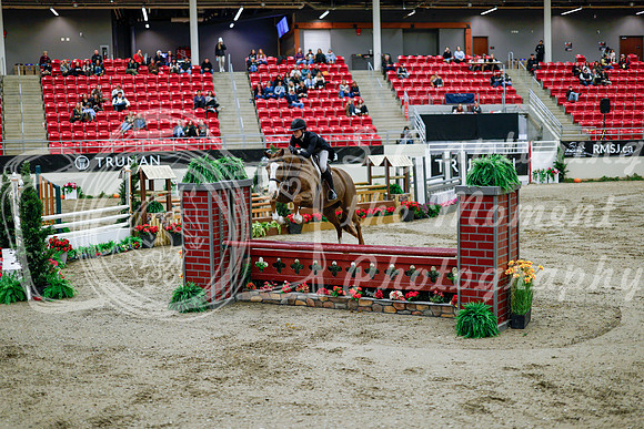 2025 - Haylee - Royal West - Tuesday October 21st - 09294