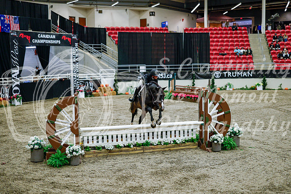 2025 - Haylee - Royal West - Tuesday October 21st - 08665