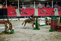 2025 - Haylee - Royal West - Tuesday October 21st - 09299
