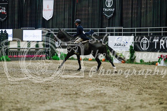 2025 - Haylee - Royal West - Tuesday October 21st - 04897