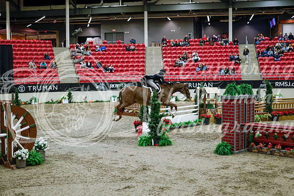 2025 - Haylee - Royal West - Tuesday October 21st - 09306