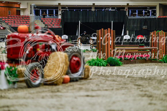 2025 - Haylee - Royal West - Tuesday October 21st - 04906
