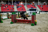 2025 - Haylee - Royal West - Tuesday October 21st - 08748