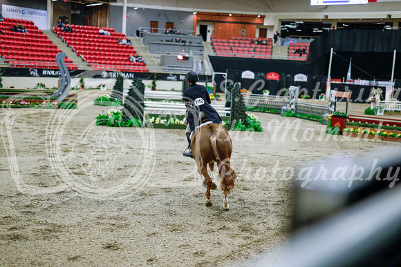 2025 - Haylee - Royal West - Tuesday October 21st - 09317