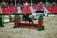 2025 - Haylee - Royal West - Tuesday October 21st - 08750