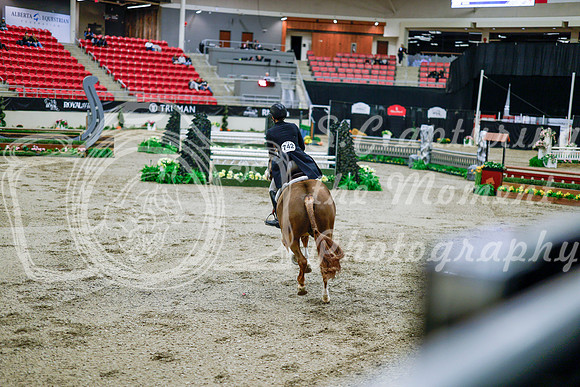 2025 - Haylee - Royal West - Tuesday October 21st - 09318