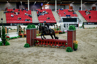 2025 - Haylee - Royal West - Tuesday October 21st - 08753