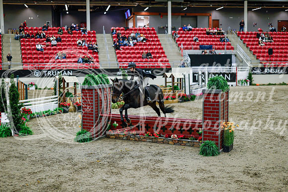 2025 - Haylee - Royal West - Tuesday October 21st - 08755