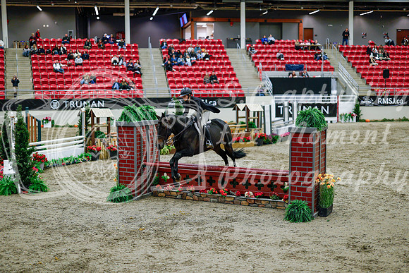 2025 - Haylee - Royal West - Tuesday October 21st - 08756