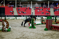2025 - Haylee - Royal West - Tuesday October 21st - 08757