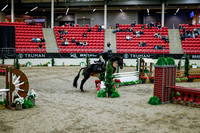 2025 - Haylee - Royal West - Tuesday October 21st - 08758