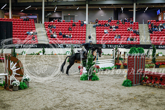 2025 - Haylee - Royal West - Tuesday October 21st - 08758