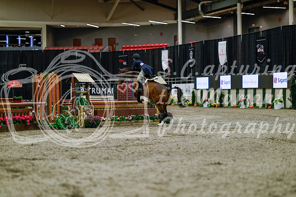 2025 - Haylee - Royal West - Tuesday October 21st - 03776