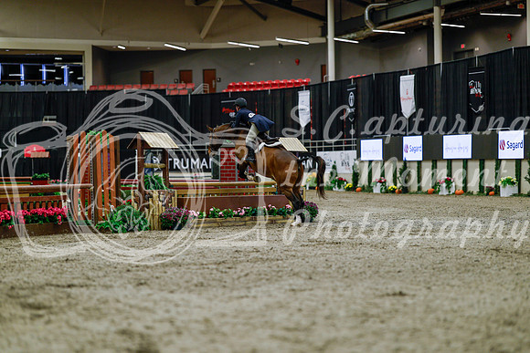 2025 - Haylee - Royal West - Tuesday October 21st - 03778