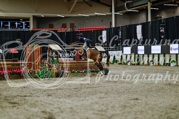 2025 - Haylee - Royal West - Tuesday October 21st - 03779