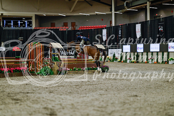 2025 - Haylee - Royal West - Tuesday October 21st - 03781