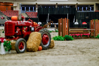 2025 - Haylee - Royal West - Tuesday October 21st - 03782