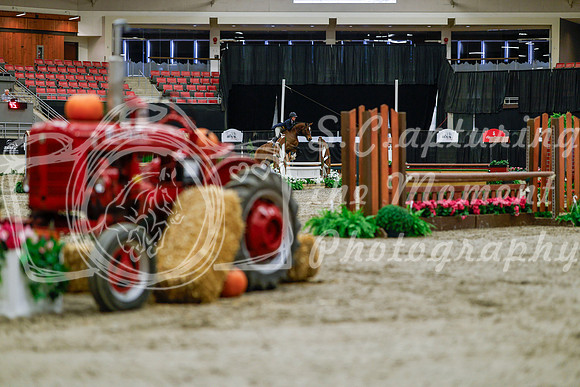 2025 - Haylee - Royal West - Tuesday October 21st - 03782