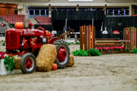2025 - Haylee - Royal West - Tuesday October 21st - 03783