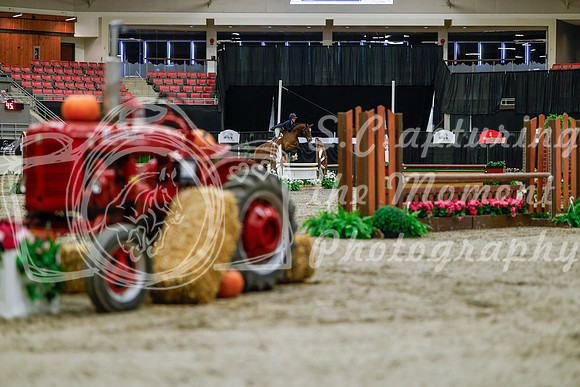 2025 - Haylee - Royal West - Tuesday October 21st - 03783