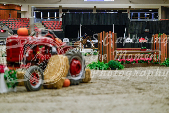 2025 - Haylee - Royal West - Tuesday October 21st - 03784