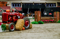 2025 - Haylee - Royal West - Tuesday October 21st - 03785